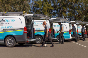 Professional vs. DIY Pest Control: Which is Best for Your Pest Situation