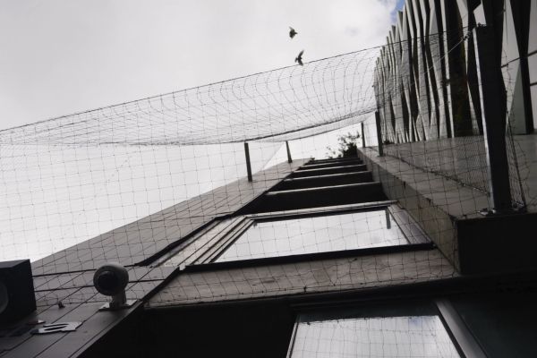 bird-netting-melbourne-0008-layer-265CF63A75-B723-CF1A-A056-3E6F51F222B8.jpg